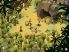 Dofus: Battles 2 screenshot 7