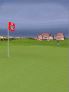 Pro Series Golf screenshot 13