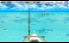 Fishing Superstars screenshot 3