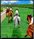 Gallop Racer 3D screenshot 6