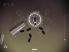 Splice : Tree of Life screenshot 10
