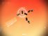 Splice : Tree of Life screenshot 11