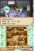 Harvest Moon: Grand Bazaar screenshot 4