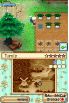 Harvest Moon: Grand Bazaar screenshot 5