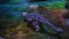 Dino Hunter: Deadly Shores screenshot 6
