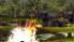 Dino Hunter: Deadly Shores screenshot 14