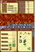 Rune Factory 2: A Fantasy Harvest Moon screenshot 20