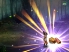 Immortal Odyssey screenshot 8