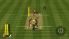 Brian Lara 2007 Pressure Play screenshot 4