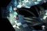 Chaos Rings screenshot 19