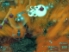Awaken: Underwater Odyssey screenshot 2