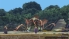 Final Fantasy X screenshot 33