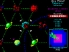Z-Exemplar screenshot 4