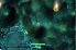 6th Planet screenshot 4