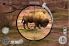 Deer Hunter Reloaded screenshot 7