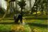 Deer Hunter Reloaded screenshot 10