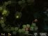 Ragdoll Blaster 2 HD screenshot 3
