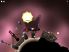 Incoboto - GameClub screenshot 5