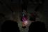 Solomon's Boneyard screenshot 2