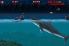 Hungry Shark Night screenshot 3