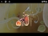 Botanicula screenshot 18