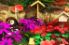 My Garden screenshot 2