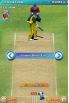 Freddie Flintoff Cricket '09 screenshot 3