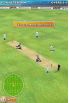 Freddie Flintoff Cricket '09 screenshot 4