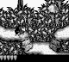 Donkey Kong Land screenshot 3