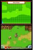 Pokemon Ranger: Shadows of Almia screenshot 33
