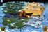 Legendary Wars screenshot 6