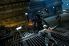 Alien vs Predator: Evolution screenshot 2
