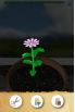 Flower Garden: jardin de fleurs virtuel screenshot 6