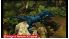 Combat of Giants: Dinosaurs 3D screenshot 1
