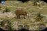 Real Trophy Hunting screenshot 2