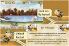 Honey Tribe: Colony Collapse screenshot 5