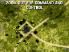 Combat Mission: Touch screenshot 4