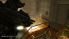 Tom Clancy's Splinter Cell Essentials screenshot 9