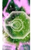 Black Hole Joyrider screenshot 3