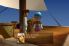 Terra Incognita screenshot 4