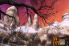 Dracula: The Path of the Dragon - Part 2 screenshot 4